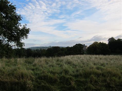 Free Images Landscape Tree Nature Forest Horizon Marsh