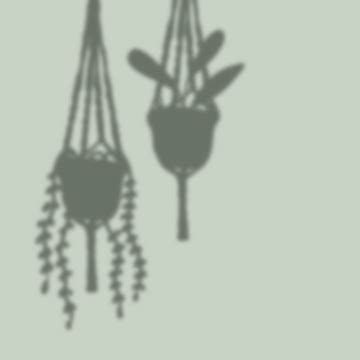 Hanging Plant Vector Design Images Hanging Plants Plants Clipart