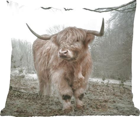 Sierkussens Kussentjes Woonkamer X Cm Schotse Hooglander