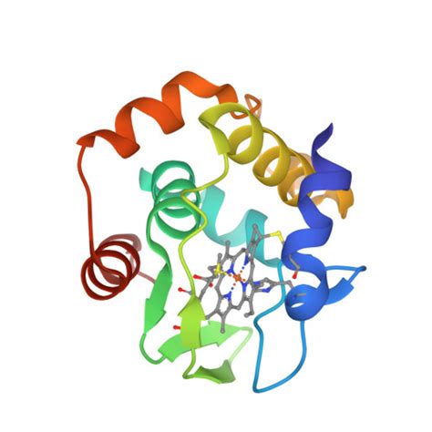 RCSB PDB 3VNW Crystal Structure Of Cytochrome C552 From Thermus