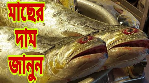 কিছু পাইকারি মাছের দাম জেনে নিন Fish Prices 26 April 2024 My Life