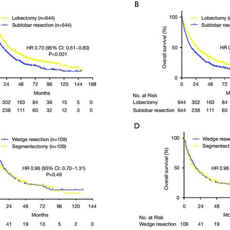 Survival Rate Of Stage Iv Non Small Cell Lung Cancer Patients According Download Scientific