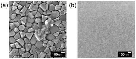 SEM Images Of A GaN Film Grown On An Amorphous SiO2 Substrate A