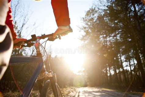 Hands Holding Handlebar Of A Bicycle Stock Image Image Of Light Line