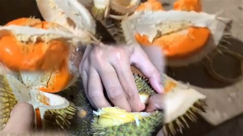 Crazy Speed Amazing Durian Fruit Cutting Skills Thai Street Food Youtube