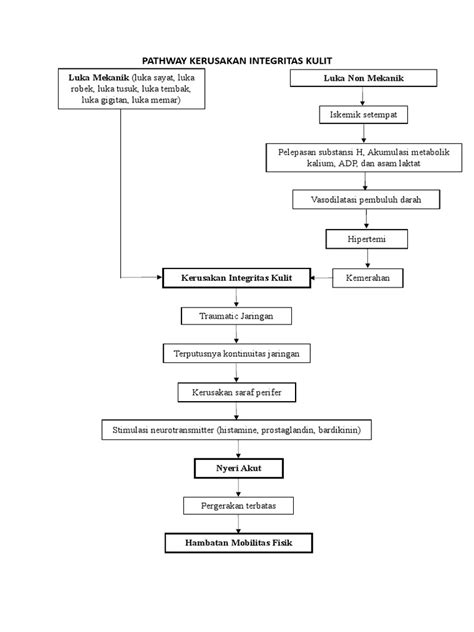 Kerusakan Integritas Kulit Pathway Pdf