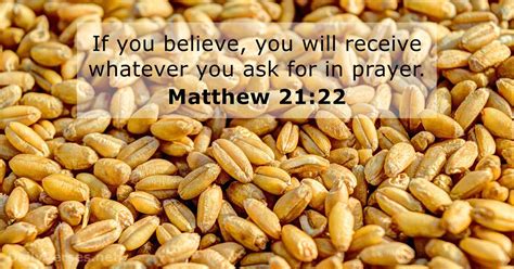 Matthew 2122 Bible Verse