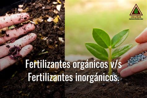 FERTILIZANTES ORGÁNICOS VS FERTILIZANTES INORGÁNICOS IAUSA