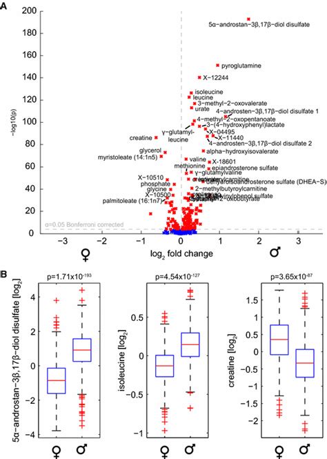 Gender Specific Pathway Differences In The Human Serum Metabolome Springerlink