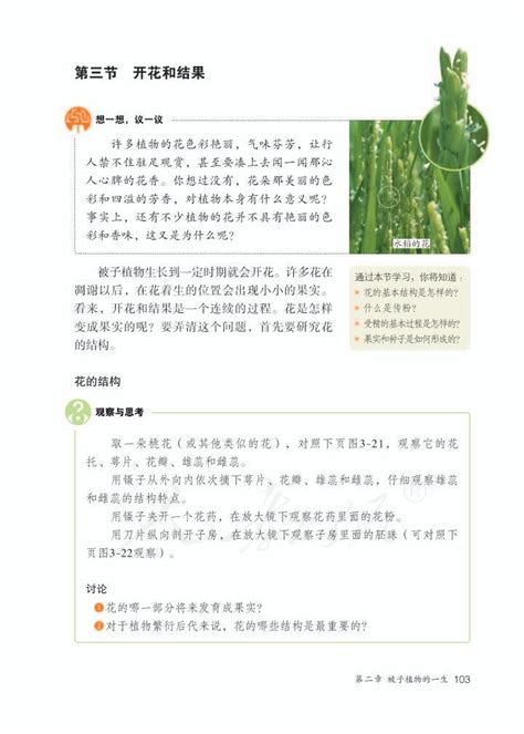 第二章 被子植物的一生2012年审定人教版七年级生物上册（高清）中学课本网