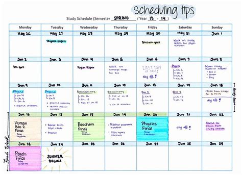 Nclex Study Plan Template Five Weeks Plan Simple Template Design