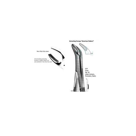 Cryer American Lower Incisors Premolars Roots Fig 151 Relpro