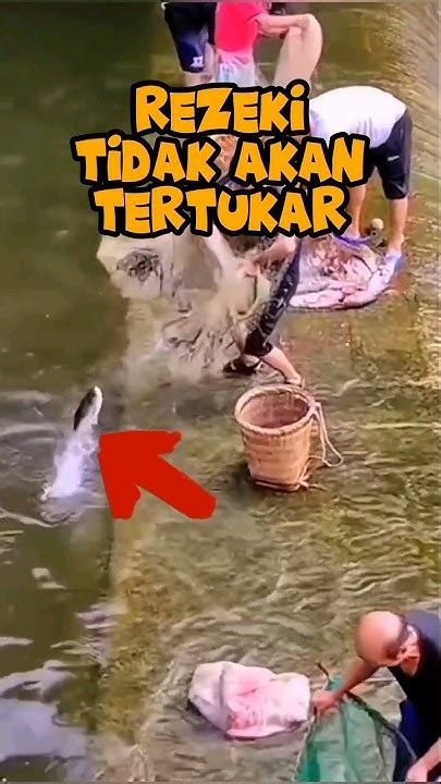 Rezeki Datang Sendiri Ikan Nelayan Youtube