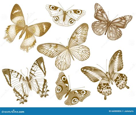 Set Of Vector Butterflies Insect Vintage Collection For Design And Scrapbooking Eps10 Stock