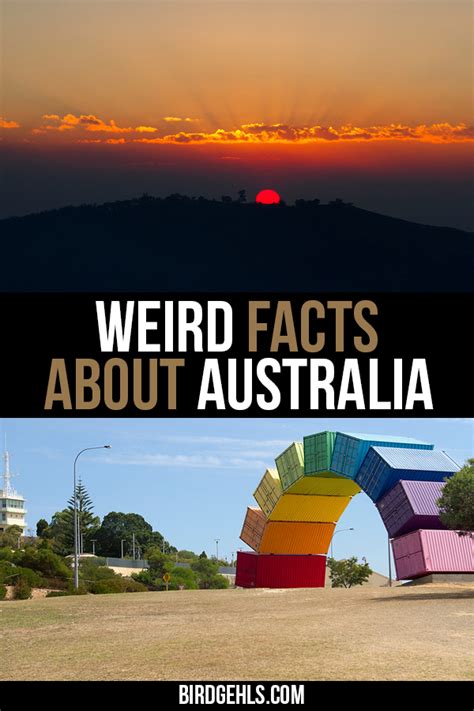 40 Wonderful Weird Facts About Australia Artofit