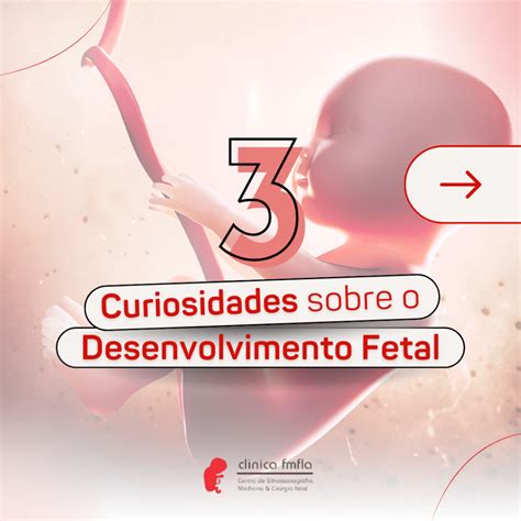 Exerc Cios F Sicos Na Gravidez E Seus Benef Cios Fmfla Medicina Fetal