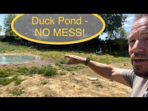 How To Build A No Mess Duck Pond Duck Pond Pond Filter System Pond