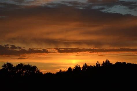 Free Images Tree Horizon Cloud Sunrise Sunset Sunlight Dawn