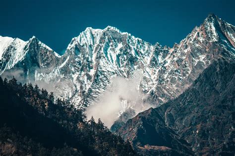 Trees And Snowcapped Peak At Background In The Himalaya Mountains