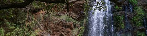 Top All Inclusive Hotels And Resorts In Nanyuki