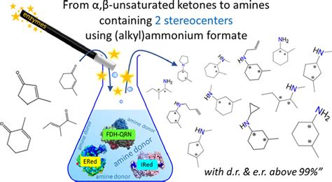 One Pot Biocatalytic Synthesis Of Primary Secondary And Tertiary