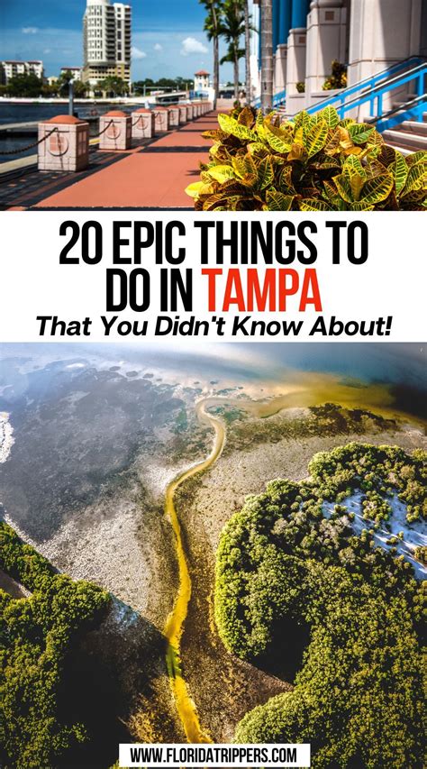 20 Epic Things To Do In Tampa That You Didnt Know About North