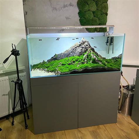 Aquaman Nature Studio On Instagram Mountain In Home Aquascaping