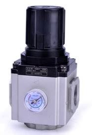 Pressure Regulator With Reverse Flow MGRK200 06 L