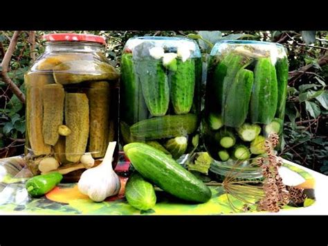 Эти Маринованные Огурчики на Зиму просто чудо! Хрустящие и ароматные ...
