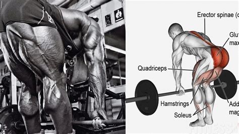 5 Must Have Hamstring Exercises For Jacked Legs Fitness Volt