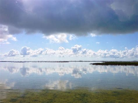 Nervous Waters Abaco Island Bahamas Abaco Bahamas Bahamas Water
