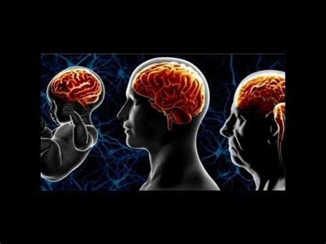 Funcionamento do Cérebro Humano Explorando a capacidade cerebral e sua