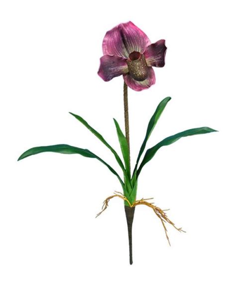 Lady Slipper Orchid Spray H48cm Ly009 Sunenergy Floral