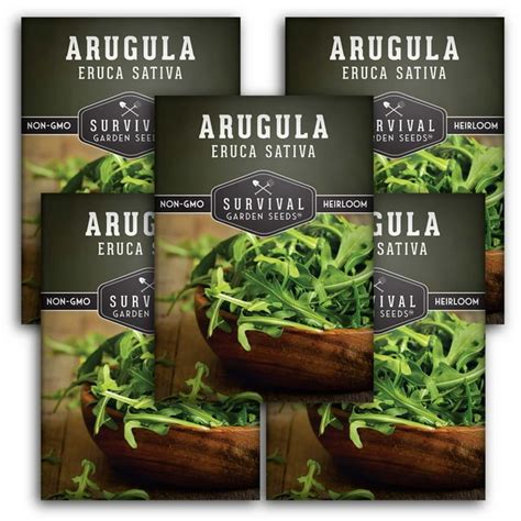 5 Packs Arugula Non Gmo Heirloom Vegetable Seed Full Sun Biennial