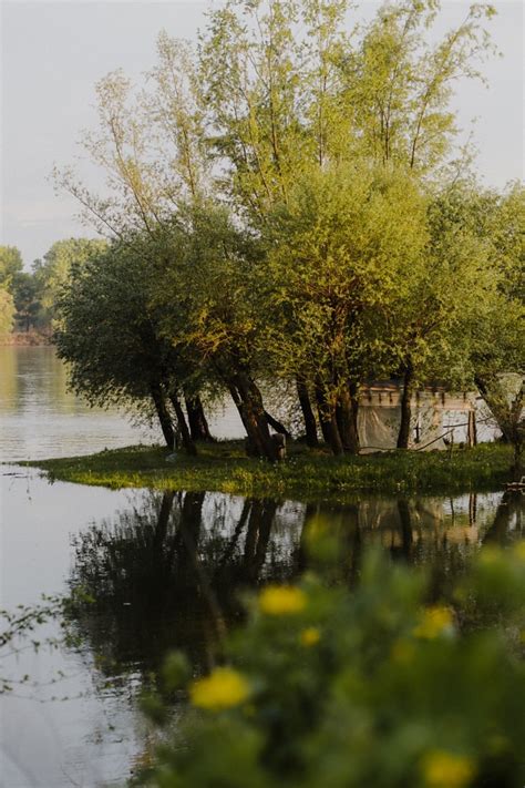 Image libre Plaines inondables printanières sur la rive dune rivière