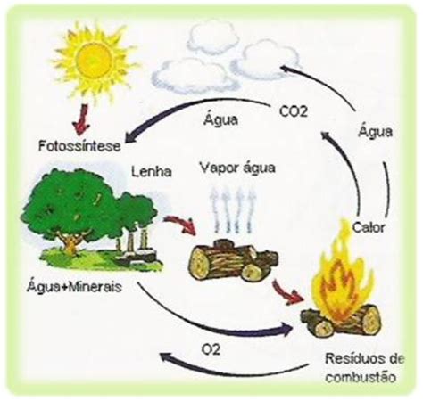 energia-biomassa - NotaPositiva