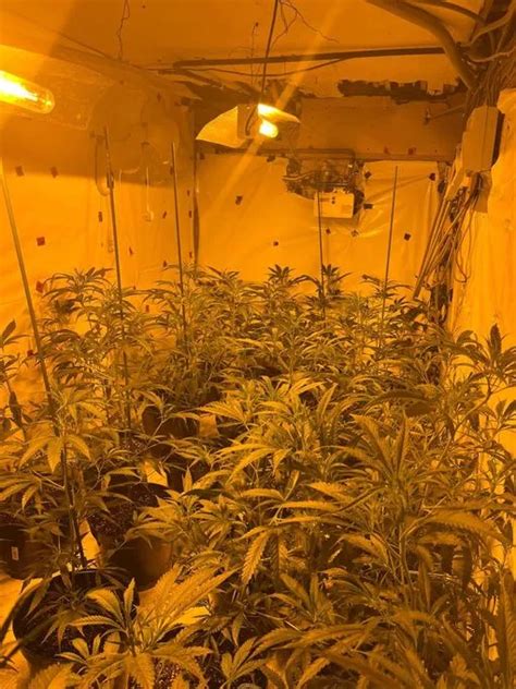 What Happened As Police Raid Doncaster Homes As Part Of Huge Drugs Bust Yorkshirelive