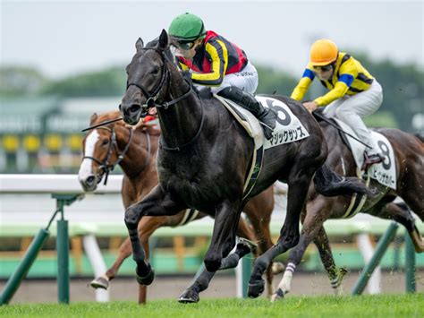 【函館5r新馬戦結果】キズナ産駒マジックサンズが人気に応えて快勝 競馬ニュース Netkeiba