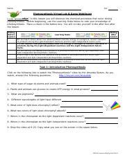 Discover The Chemical Processes Of Photosynthesis Virtual Lab