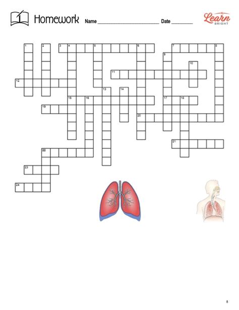 Respiratory System Diagram Worksheet