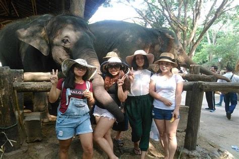 Tripadvisor Maesa Elephant Camp Mae Sa Orchid Farm Long Neck