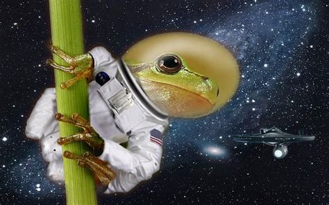 Frog In Space Nasa