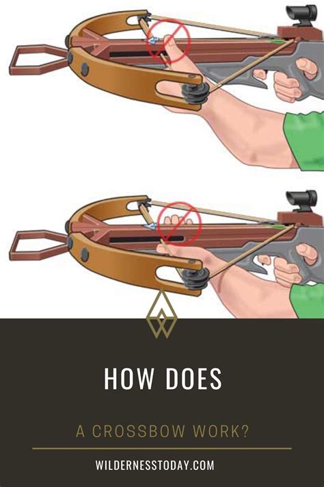 How Does A Crossbow Work Wilderness Today In 2021 Bow Hunting Tips