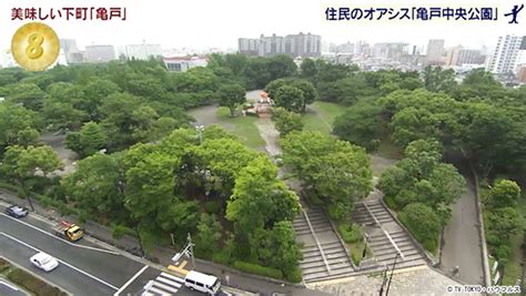 亀戸中央公園｜2023年8月12日｜出没！アド街ック天国：テレビ東京