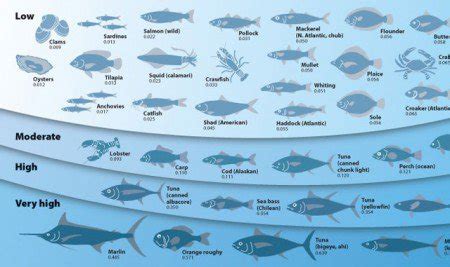 Mechanism for Accumulation of Mercury in Fish Discovered - Guardian ...