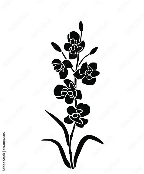 Silhouette Of Flowers Orchid Single Branches Blossom Vector Black