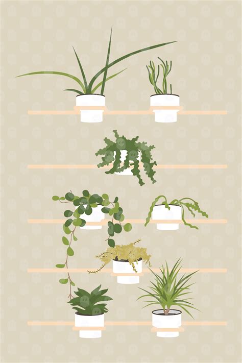 Archade A Group Of Potted Plants On Shelves Vector Drawings