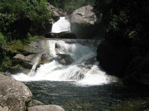 Icmbio Parque Nacional De Itatiaia Visitor Guide