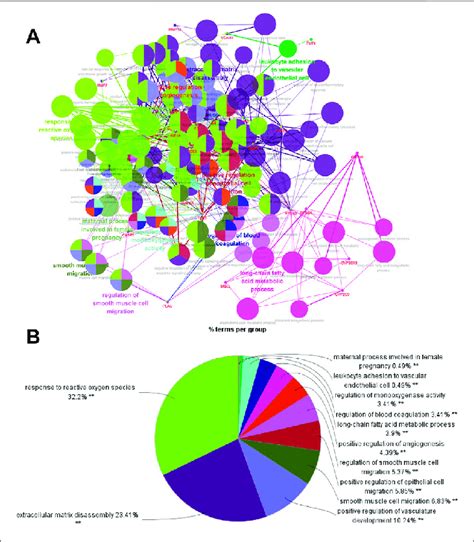 Biological Process Of Go Enrichment Analysis From Cluego