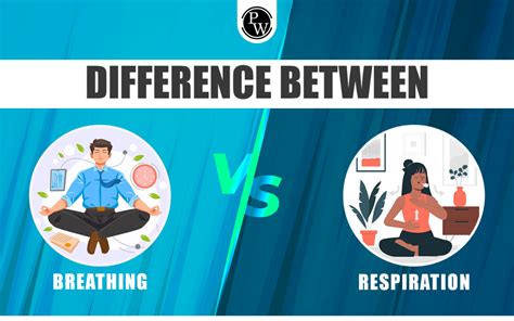 Difference Between Breathing And Respiration Types